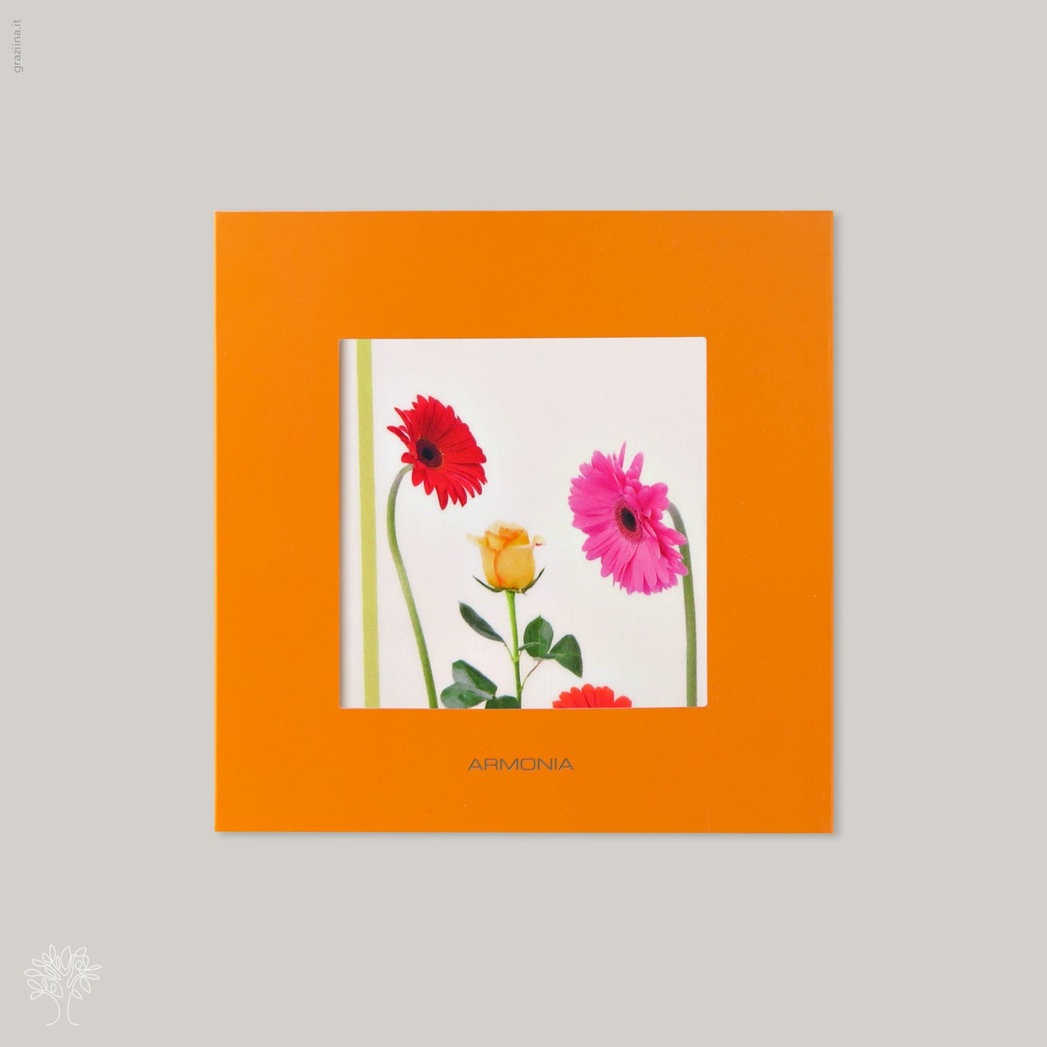 AMBRA stampato - 501